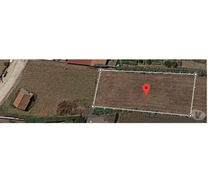 Vente Terrain - Photos Vivastreet Terrain - Peniche - 1000m2