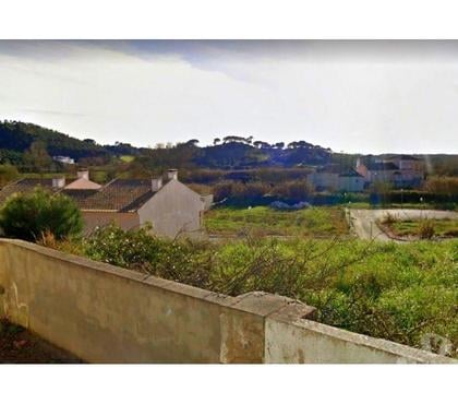 Terrain à vendre - Photos Vivastreet Terrain - Rio Maior - 525m2