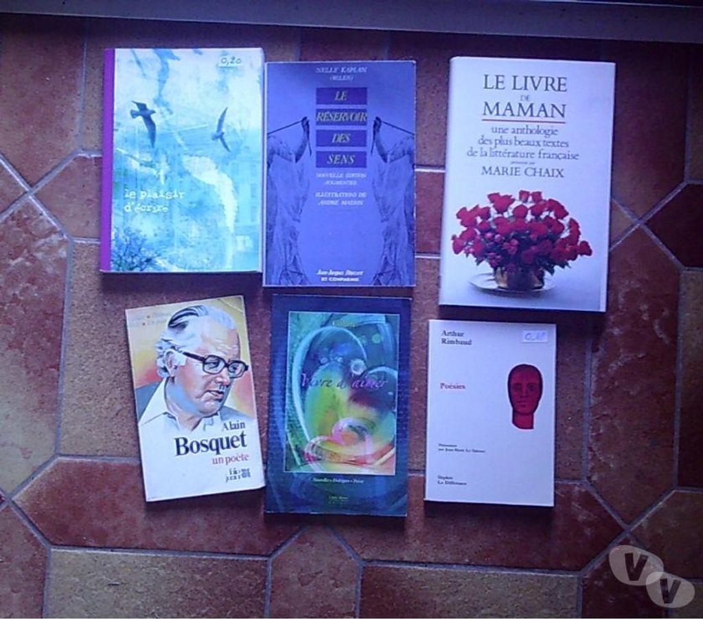 Livres occasion Bas-Rhin Bouxwiller - 67330 - Photos Vivastreet Livres & Romans divers Auteurs et divers genre 0,10 € à 2 €