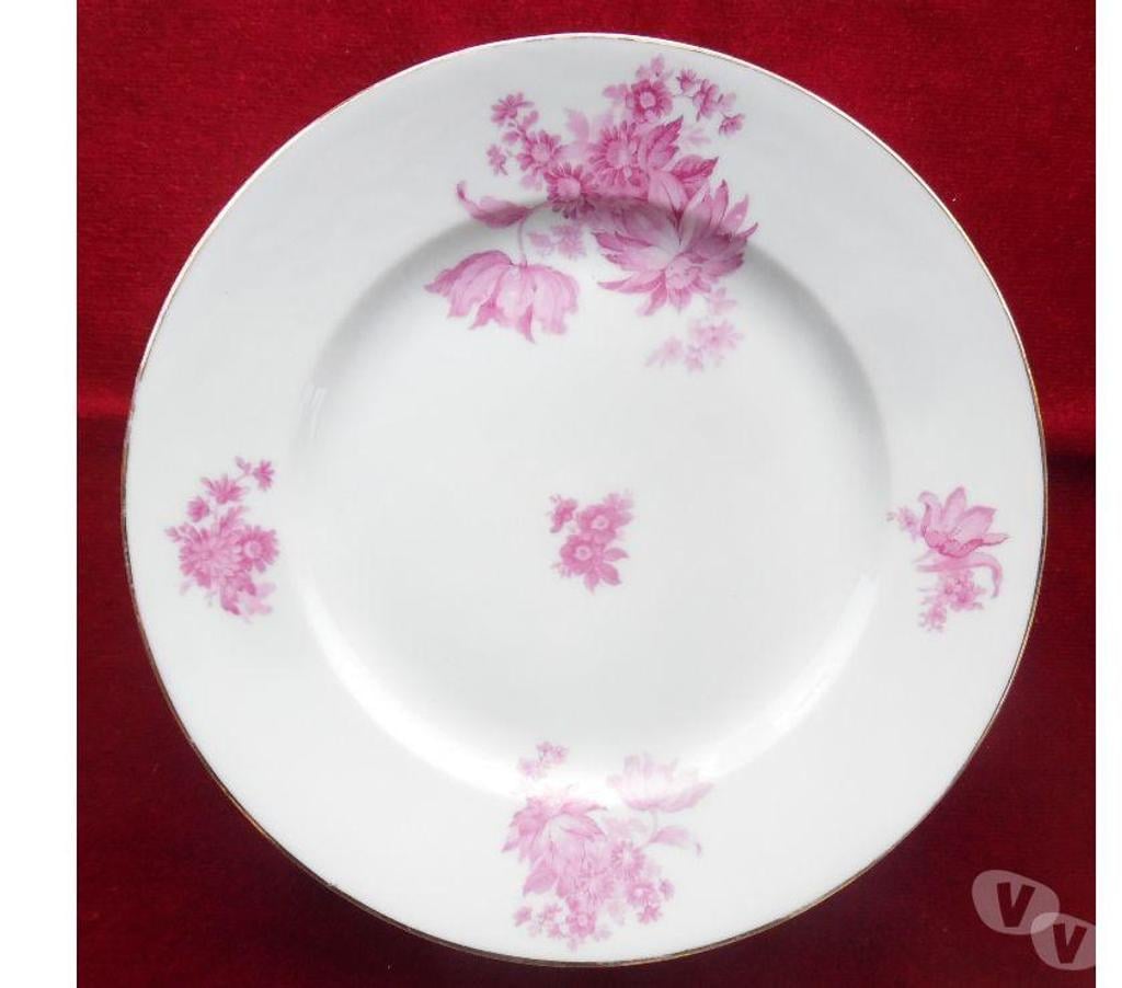 Ameublement & art de la table Hérault Castries - 34160 - Photos Vivastreet 6 Plats divers en porcelaine de Limoges blancs décors fleurs