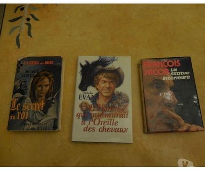 Livres occasion La Motte Servolex Savoie - Photos Vivastreet LOT DE 3 ROMANS
