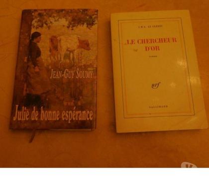 Livres La Motte Servolex Savoie - Photos Vivastreet LOT DE2 ROMANS