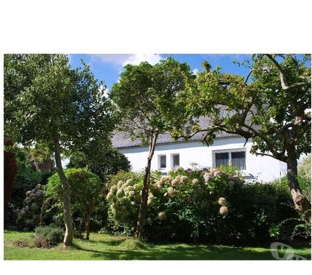 Appartement meublé Finistère Morlaix - 29600 - Photos Vivastreet C1 Ch ADSL buanderie, jardin MORLAIX