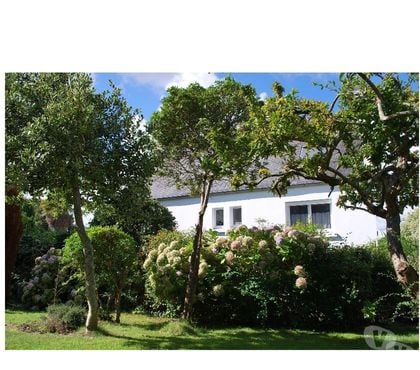 Location meublé Morlaix Finistère - Photos Vivastreet C1 Ch ADSL buanderie, jardin MORLAIX