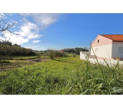Terrain à vendre - Photos Vivastreet Terrain - Alcobaï¿½a - 655m2