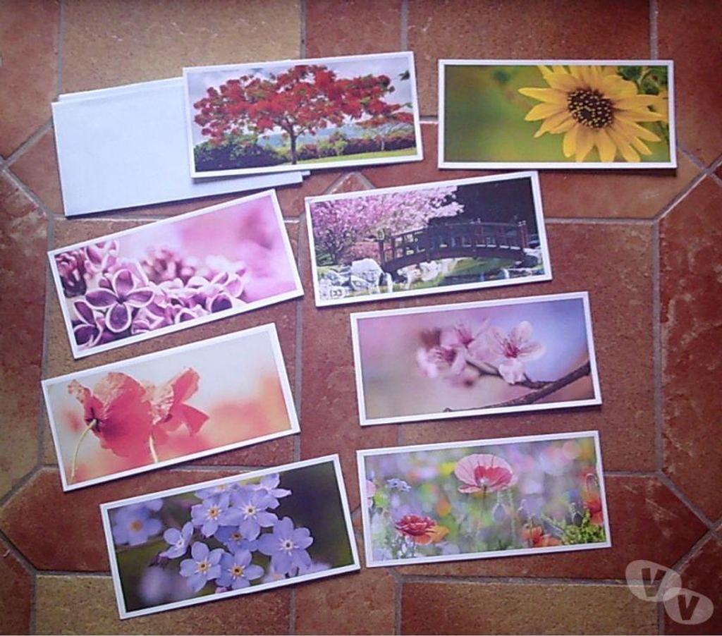 Décoration - art Bas-Rhin Bouxwiller - 67330 - Photos Vivastreet Cartes catégorie Fleur, Personnage, Paysage, Animaux-Neuves