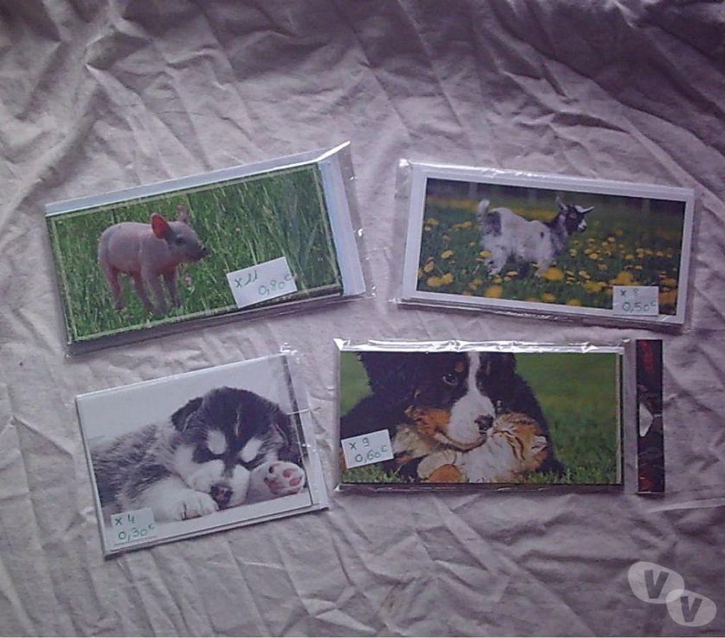 Décoration - art Bas-Rhin Bouxwiller - 67330 - Photos Vivastreet Cartes catégorie Fleur, Personnage, Paysage, Animaux-Neuves