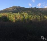 Île à vendre 200 HA