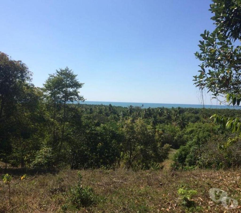 Terrain à vendre Madagascar - Photos Vivastreet Île à vendre 200 HA