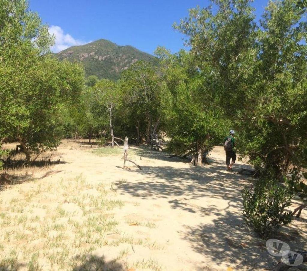 Terrain à vendre Madagascar - Photos Vivastreet Île à vendre 200 HA