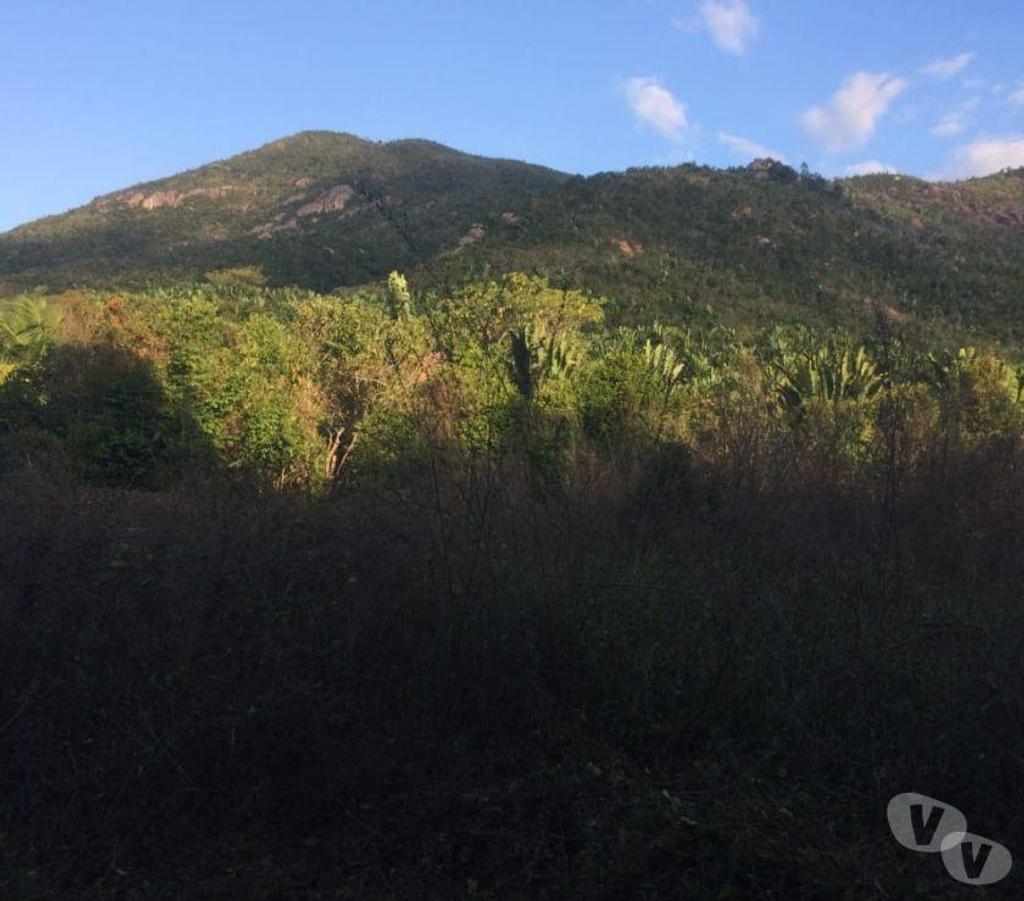 Terrain à vendre Madagascar - Photos Vivastreet Île à vendre 200 HA