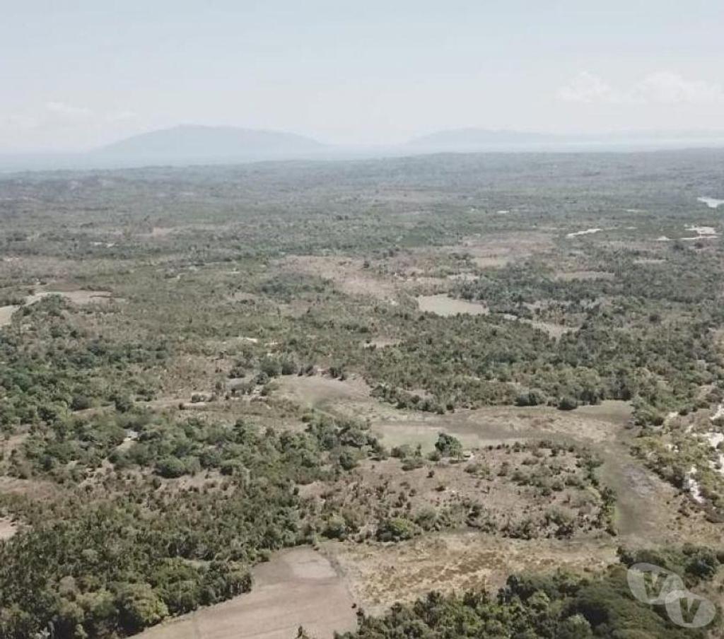 Terrain à vendre Madagascar - Photos Vivastreet Île à vendre 200 HA