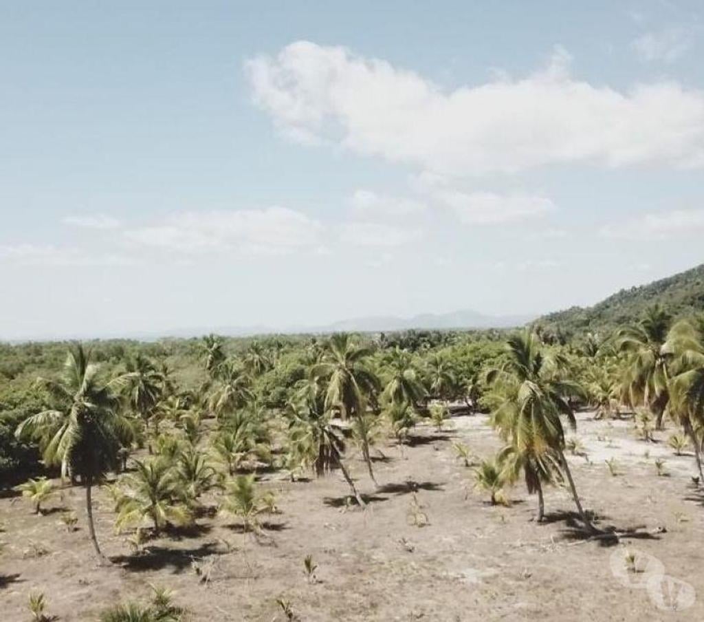 Terrain à vendre Madagascar - Photos Vivastreet Île à vendre 200 HA