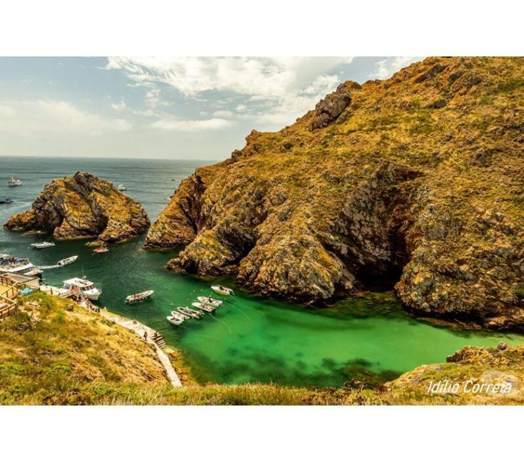 Terrain à vendre Portugal - Photos Vivastreet Terrain - ï¿½bidos - 3200m2