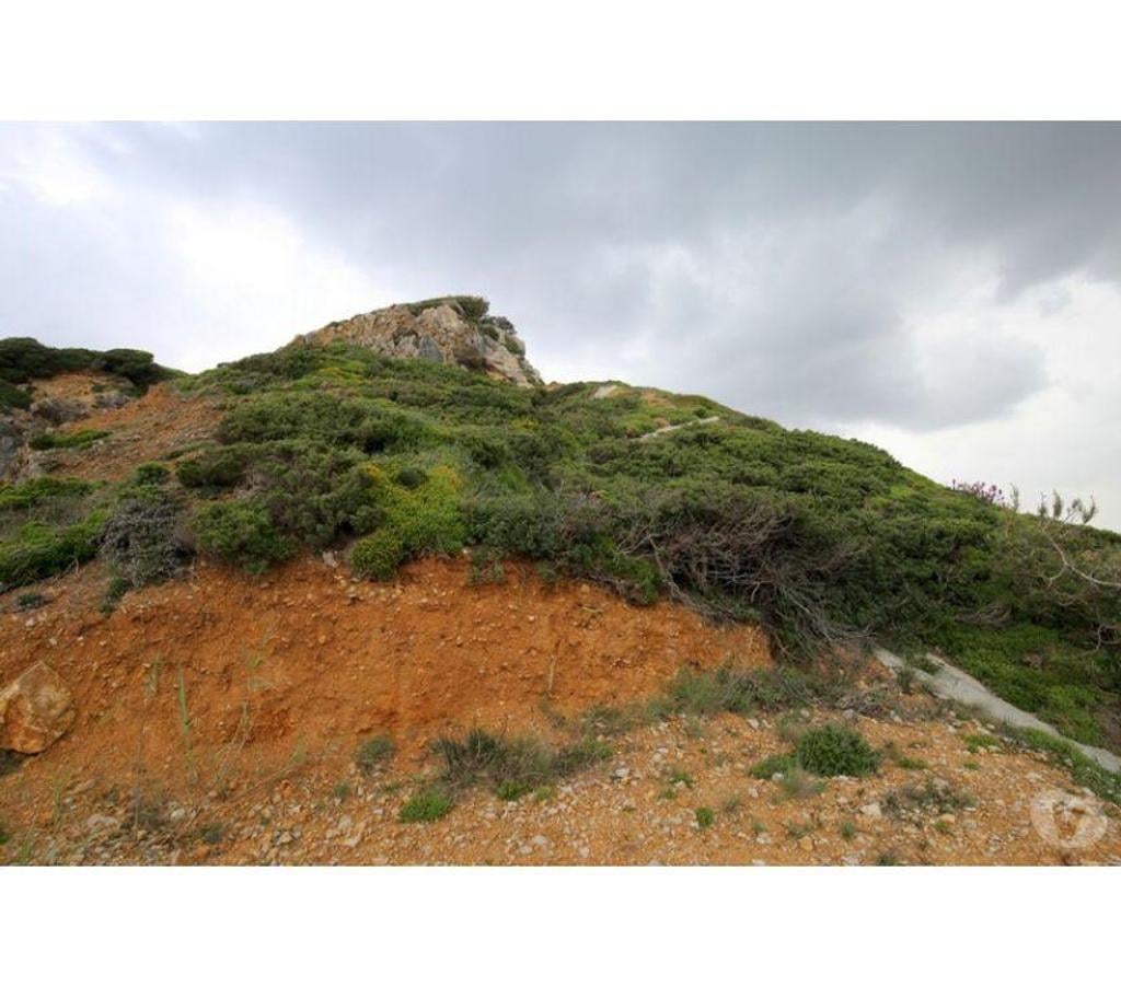Terrain à vendre Portugal - Photos Vivastreet Terrain - Alcobaï¿½a - 4600m2