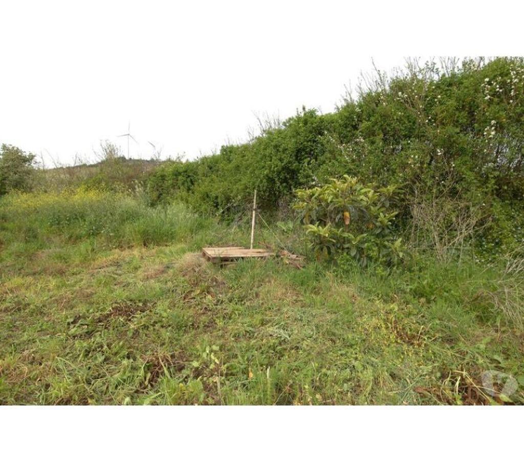 Terrain à vendre Portugal - Photos Vivastreet Terrain - Cadaval - 3360m2