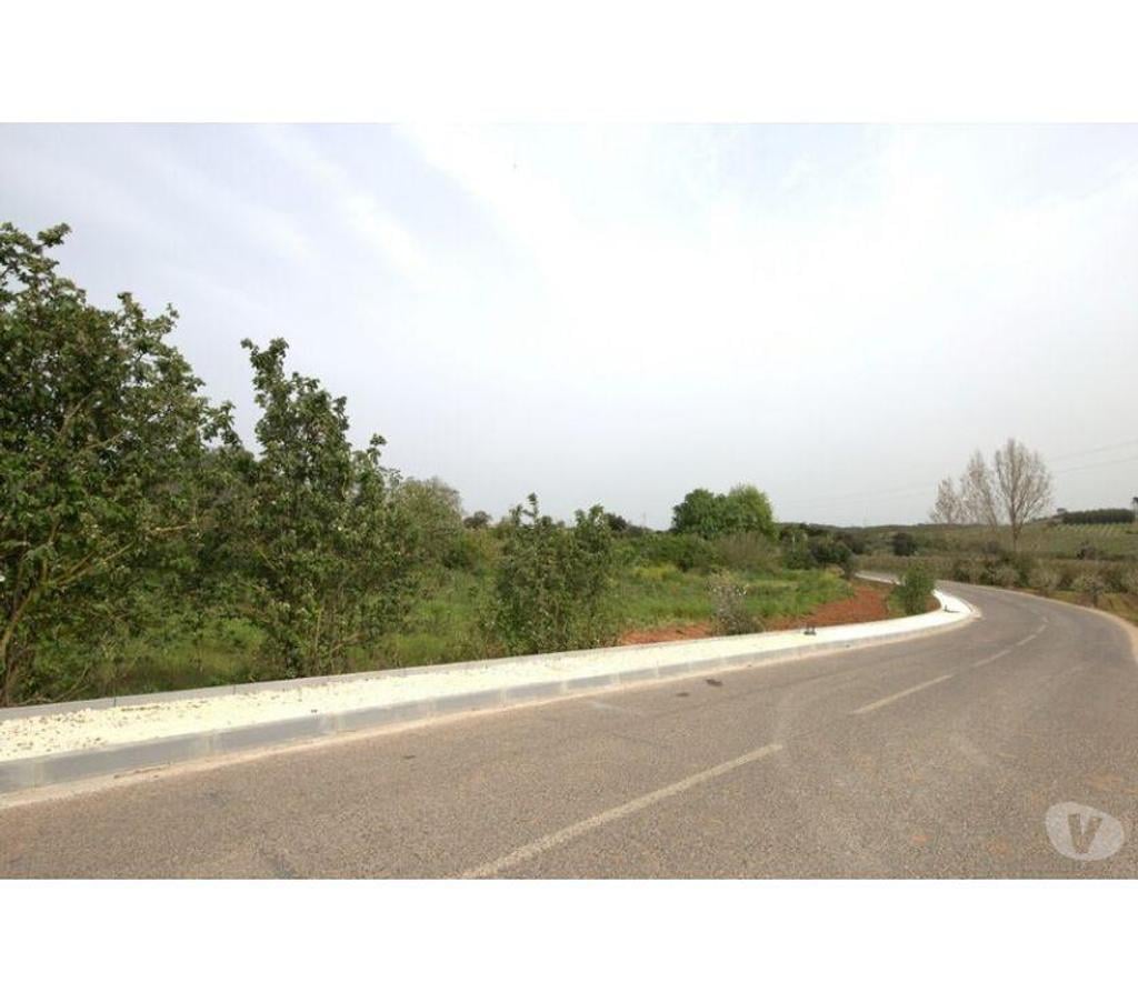 Terrain à vendre Portugal - Photos Vivastreet Terrain - Cadaval - 3360m2