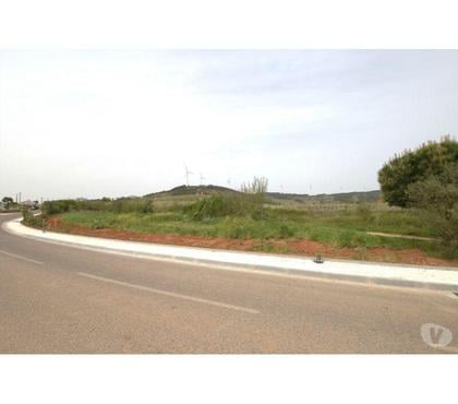 Vente Terrain - Photos Vivastreet Terrain - Cadaval - 3360m2