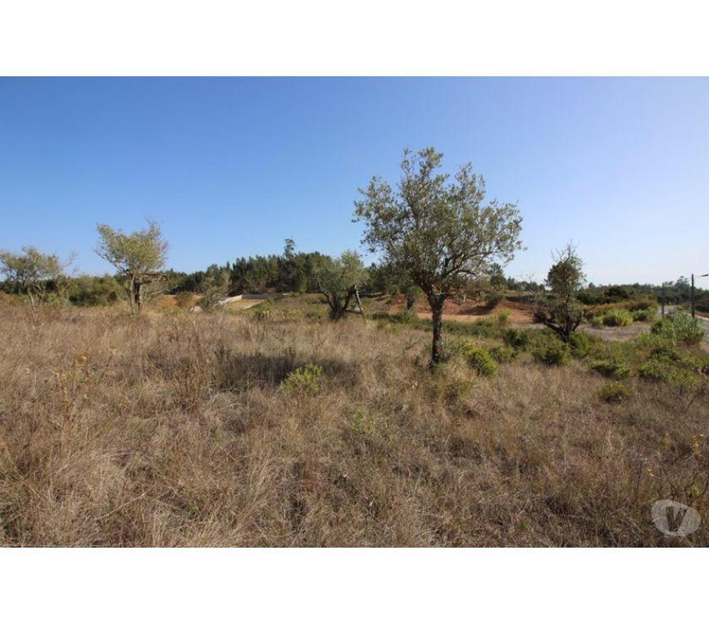 Terrain à vendre Portugal - Photos Vivastreet Terrain - Rio Maior - 6200m2