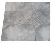 Dolomite Gris Argent 30x60 cm REF 1488