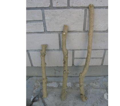 Bricolage - Jardin - Outillage Quincy sous Senart Essonne - Photos Vivastreet Bois de buis sec pour artisanat