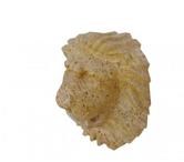 Travertin Jaune Or Tête de Lion Sculpture 40x30 cm REF 1821
