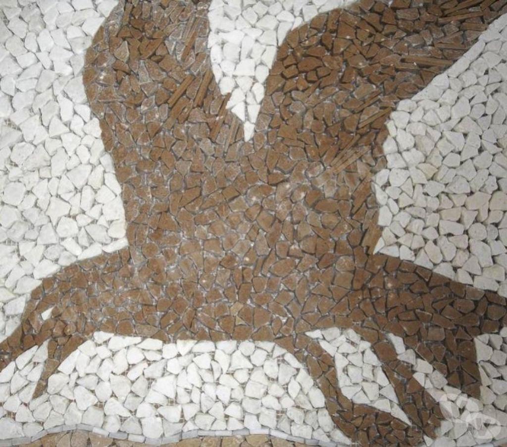  Var Forcalqueiret - 83136 - Photos Vivastreet Travertin Mixte Tableau Mouette 92x66 cm REF 806