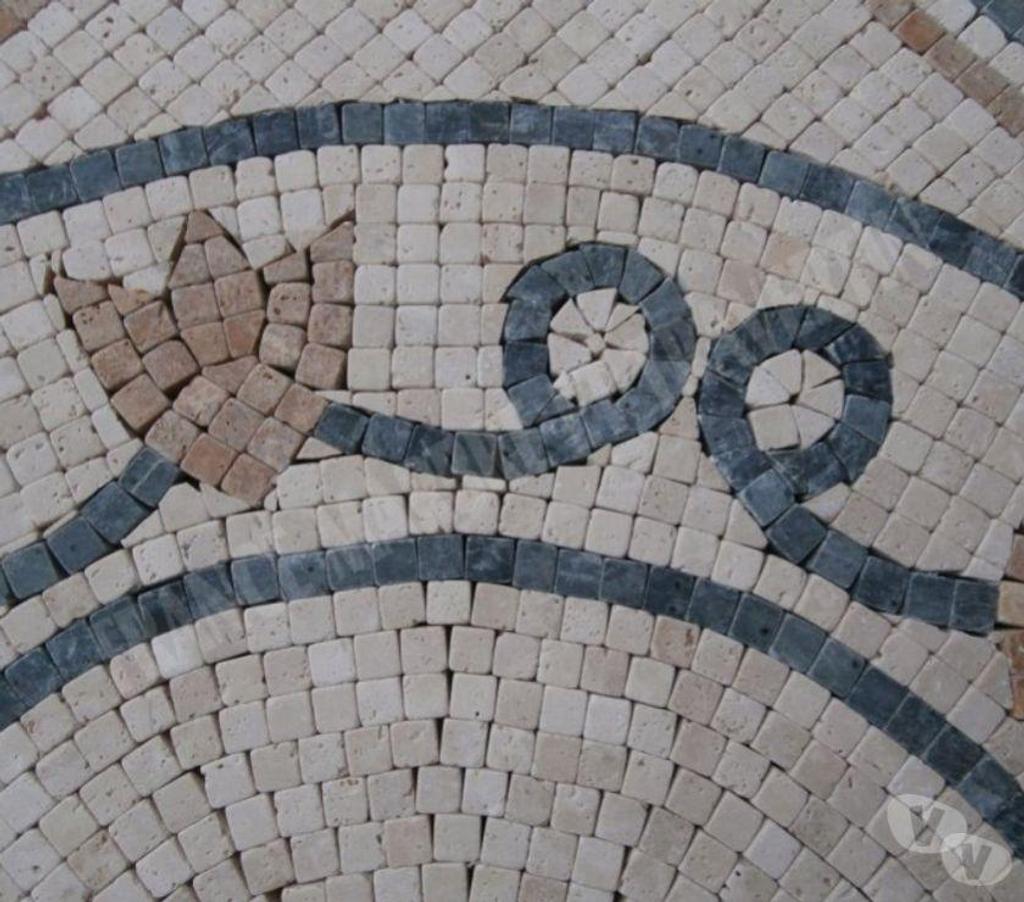  Var Forcalqueiret - 83136 - Photos Vivastreet Travertin Mixte Mosaïque Micro Rosace 61x61 cm REF 1052