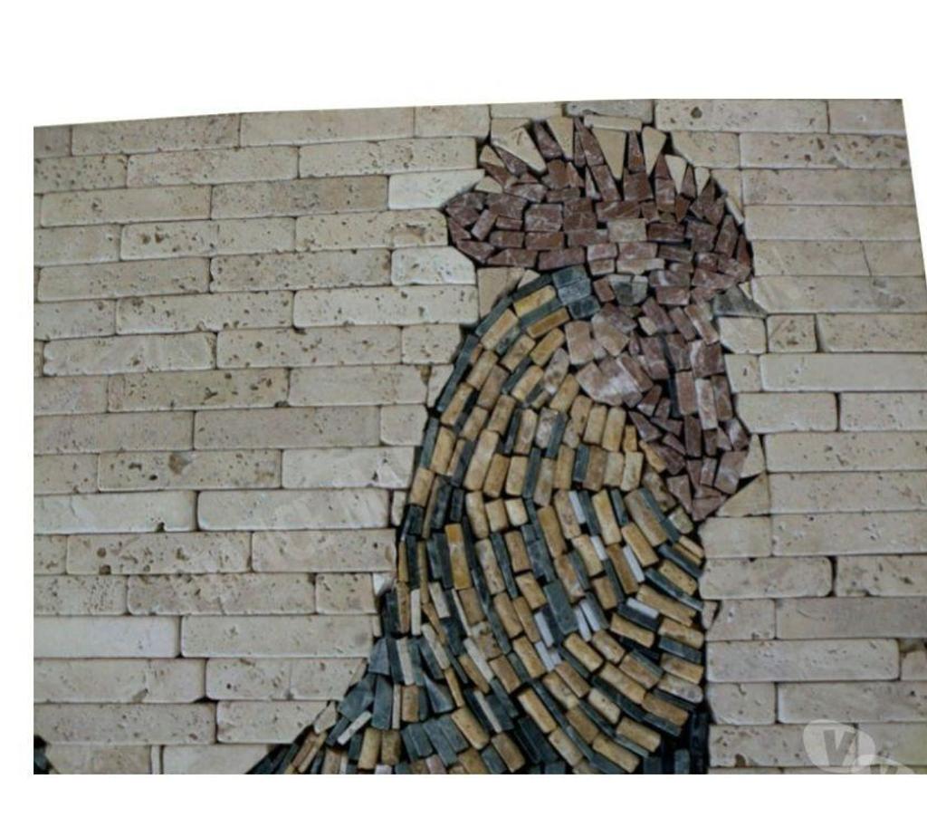  Var Forcalqueiret - 83136 - Photos Vivastreet Travertin Mixte Rosace Coq 61x61 cm REF 628