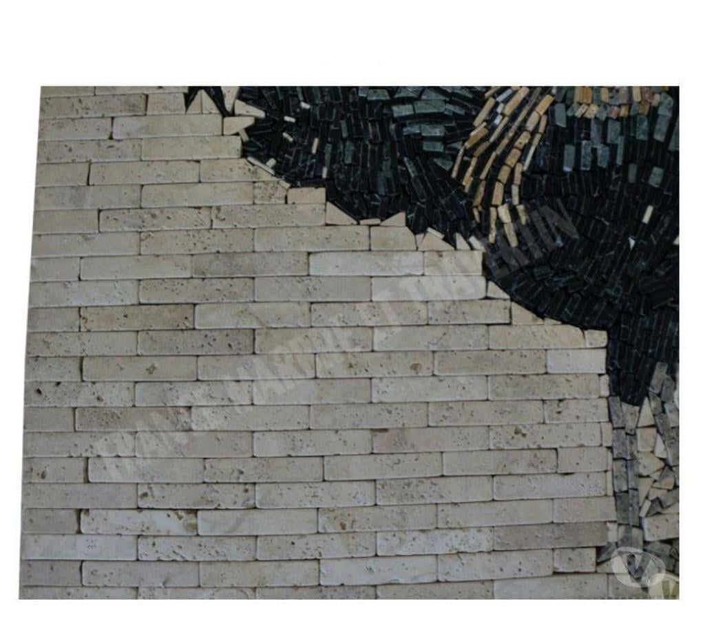  Var Forcalqueiret - 83136 - Photos Vivastreet Travertin Mixte Rosace Coq 61x61 cm REF 628