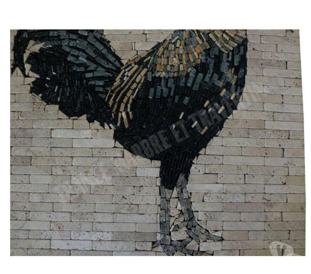  Var Forcalqueiret - 83136 - Photos Vivastreet Travertin Mixte Rosace Coq 61x61 cm REF 628