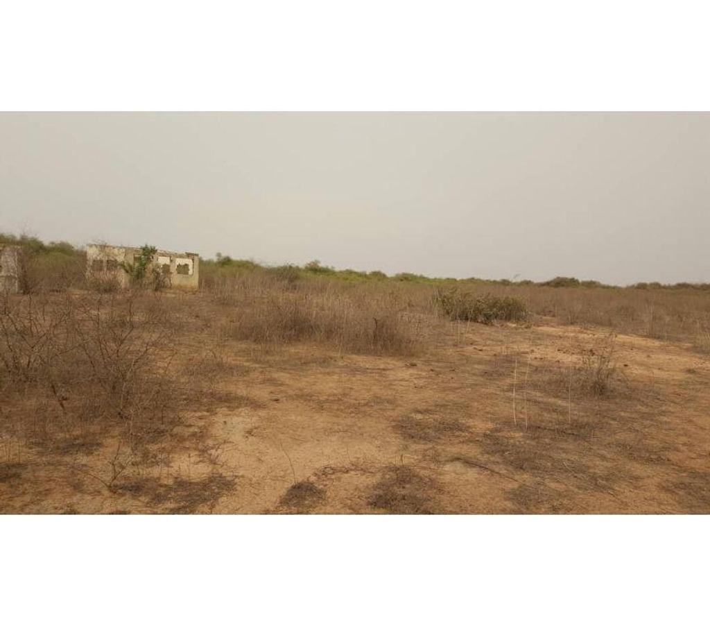 Vente Terres Agricoles Sénégal - Photos Vivastreet TERRAIN YENEMER SURFACE 2 ha 25 ares 22 ca = 21 274 m2