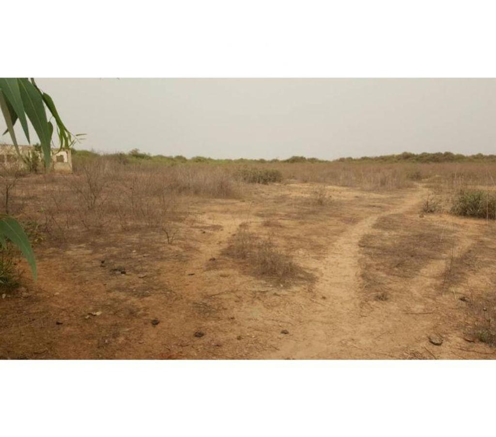 Vente Terres Agricoles Sénégal - Photos Vivastreet TERRAIN YENEMER SURFACE 2 ha 25 ares 22 ca = 21 274 m2
