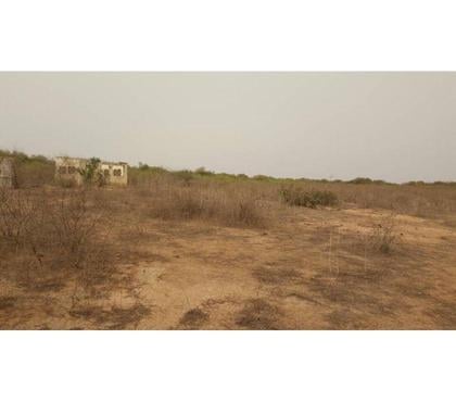 Vente Terres Agricoles - Photos Vivastreet TERRAIN YENEMER SURFACE 2 ha 25 ares 22 ca = 21 274 m2