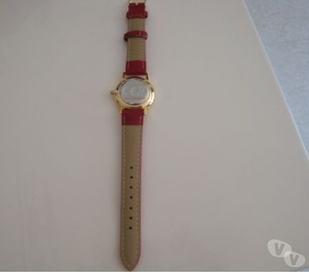 Montres occasion Rhône Lyon - Photos Vivastreet Montre Pierre Cardin