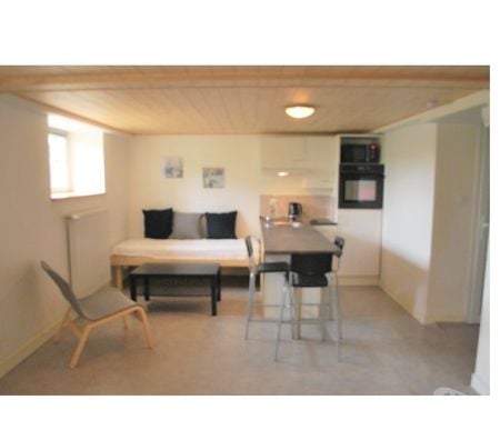 Appartement meublé Finistère Morlaix - 29600 - Photos Vivastreet B00 'Loft' RDC Belle imm., quartier prisé MORLAIX