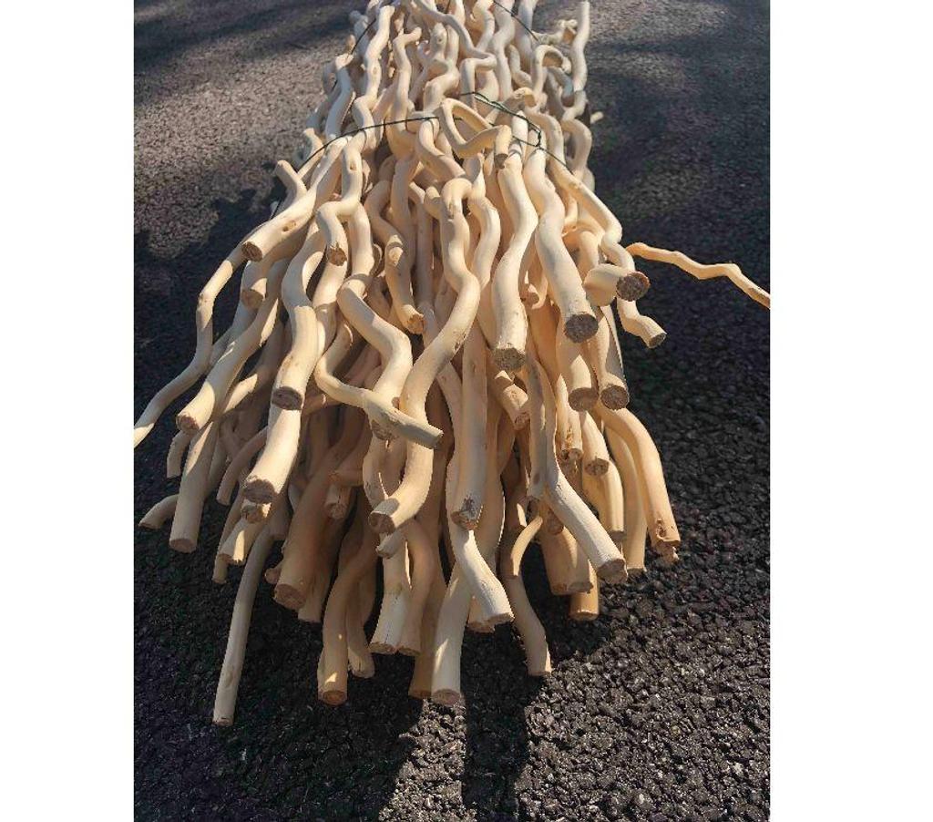 Décoration - art Isère Allevard - 38580 - Photos Vivastreet Lot de branchage torsadé 80cm
