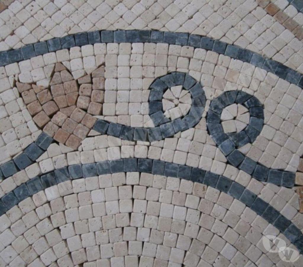  Var Forcalqueiret - 83136 - Photos Vivastreet Travertin Mixte Mosaïque Micro Rosace 61x61 cm REF 1052