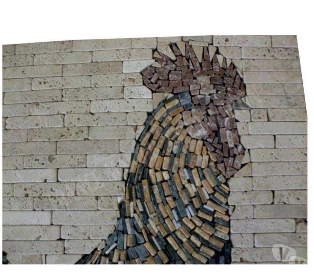  Var Forcalqueiret - 83136 - Photos Vivastreet Travertin Mixte Rosace Coq 61x61 cm REF 628