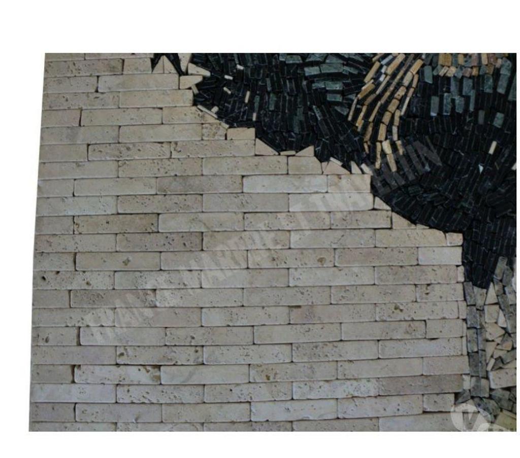  Var Forcalqueiret - 83136 - Photos Vivastreet Travertin Mixte Rosace Coq 61x61 cm REF 628