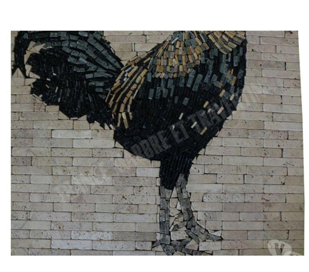  Var Forcalqueiret - 83136 - Photos Vivastreet Travertin Mixte Rosace Coq 61x61 cm REF 628