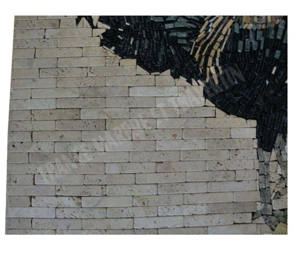  Bouches-du-Rhône Lancon Provence - 13680 - Photos Vivastreet Travertin Mixte Rosace Coq 61x61 cm REF 628