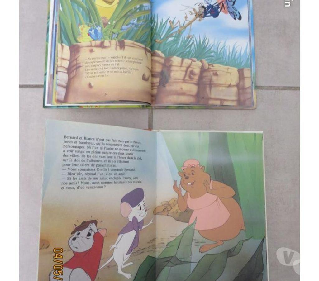 Livres occasion Puy-de-Dôme Clermont Ferrand - Photos Vivastreet Lot de 2 livres Walt Disney