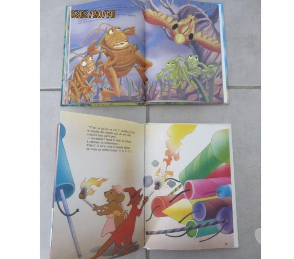 Livres occasion Puy-de-Dôme Clermont Ferrand - Photos Vivastreet Lot de 2 livres Walt Disney