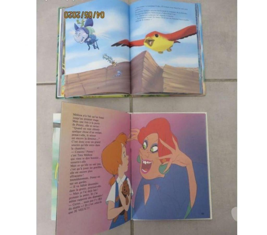 Livres occasion Puy-de-Dôme Clermont Ferrand - Photos Vivastreet Lot de 2 livres Walt Disney