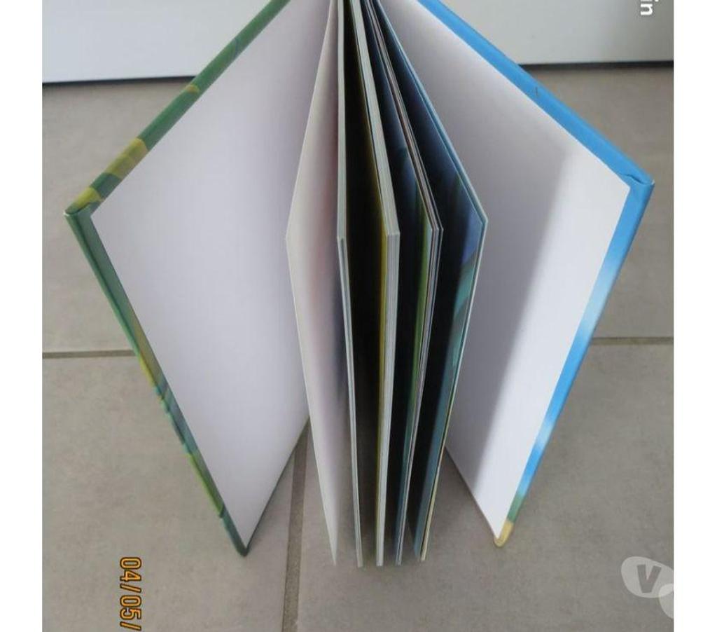 Livres occasion Puy-de-Dôme Clermont Ferrand - Photos Vivastreet Lot de 2 livres Walt Disney