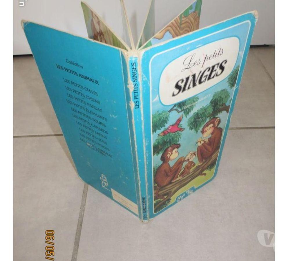 Livres occasion Puy-de-Dôme Clermont Ferrand - Photos Vivastreet 2 livres : 1 Winnie et 1 petits singes