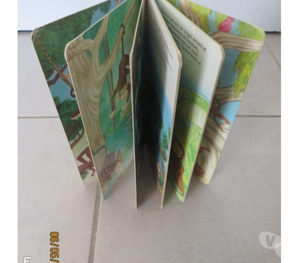 Livres occasion Puy-de-Dôme Clermont Ferrand - Photos Vivastreet 2 livres : 1 Winnie et 1 petits singes