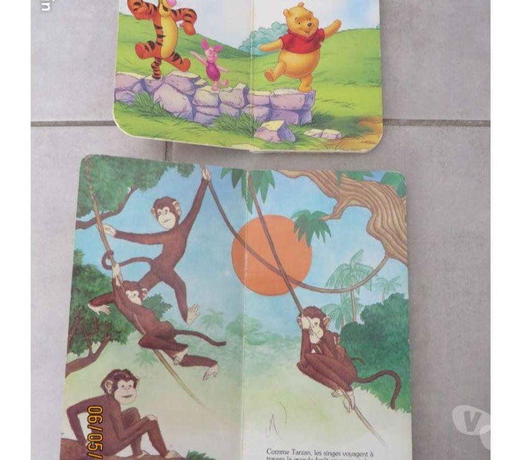 Livres occasion Puy-de-Dôme Clermont Ferrand - Photos Vivastreet 2 livres : 1 Winnie et 1 petits singes