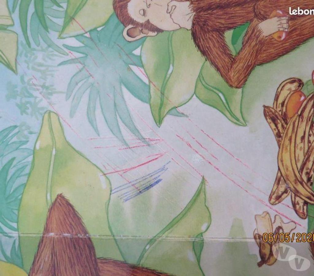 Livres occasion Puy-de-Dôme Clermont Ferrand - Photos Vivastreet 2 livres : 1 Winnie et 1 petits singes